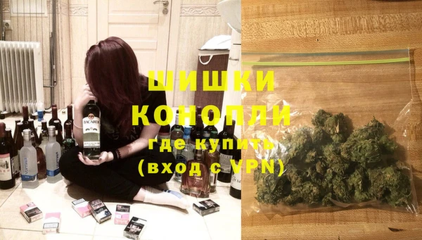 сатива Балахна