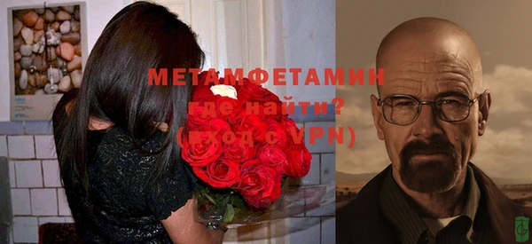 сатива Балахна