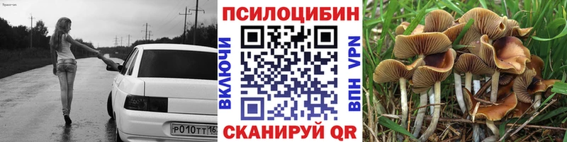 Галлюциногенные грибы Psilocybe  Николаевск-на-Амуре 
